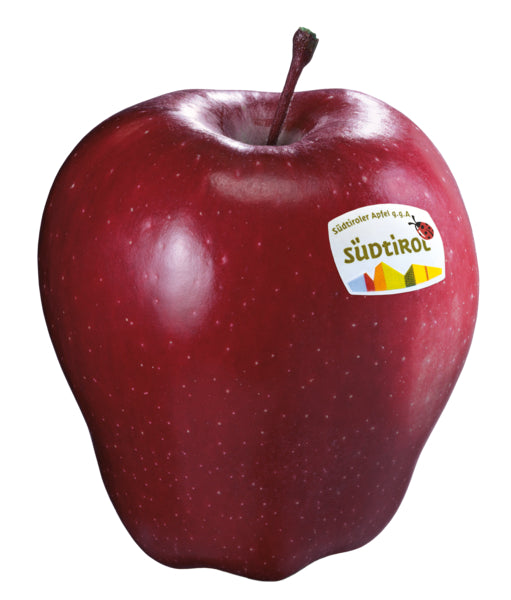 Äpfel Camspur (Redchief) Italien Klasse I