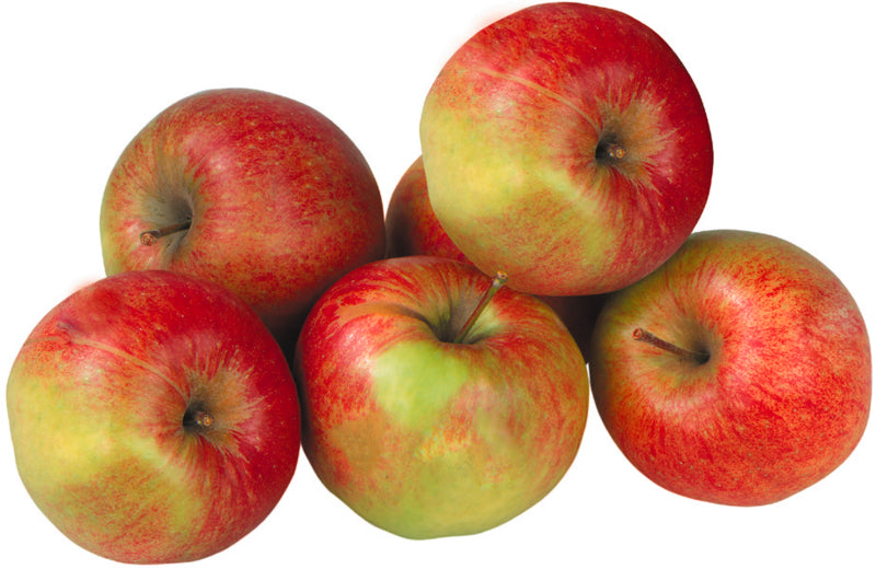 Unsere Heimat Äpfel Jonagold Deutschland Klasse I