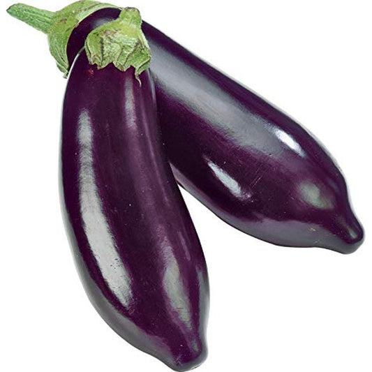 Aubergine 1 Stück