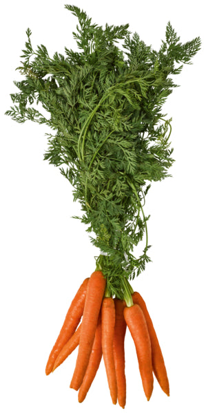 Bundmöhren Italien Klasse I 750g Bund