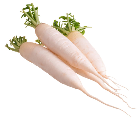 Rettiche weiß Italien Klasse I
