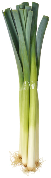 Bio Porree Deutschland Klasse II 500g Bund