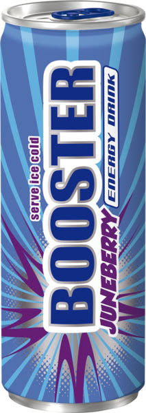 BOOSTER Juneberry 0,33l DPG