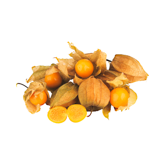 Physalis ohne Blatt Kolumbien Klasse I 125g Klarsichtpackung