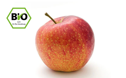 Bio Äpfel Gala 550g