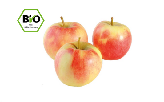 Bio Äpfel Elstar 500g