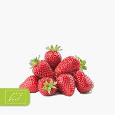 Bio Erdbeeren 300g Schale