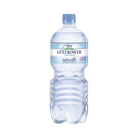 Güstrower Schlossquell Naturelle natürliches Mineralwasser ohne Kohlensäure natriumarm 1l DPG