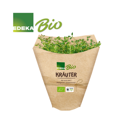 Bio EDEKA Thymian im Topf 13cm Deutschland getütet