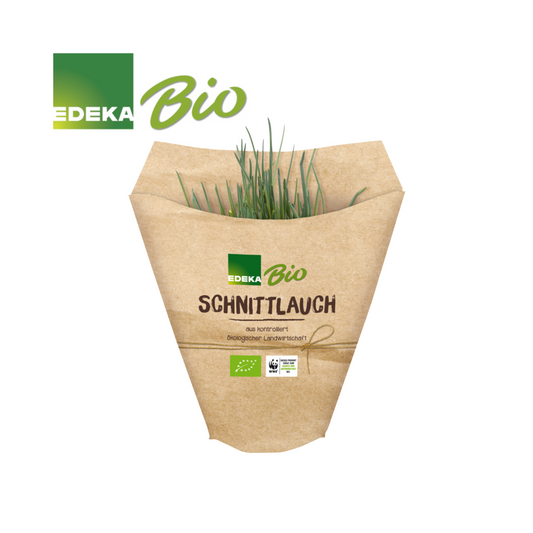 EDEKA Bio Schnittlauch im Topf