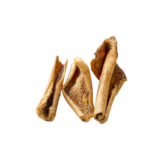 Canis Wildschweinhaut 250g