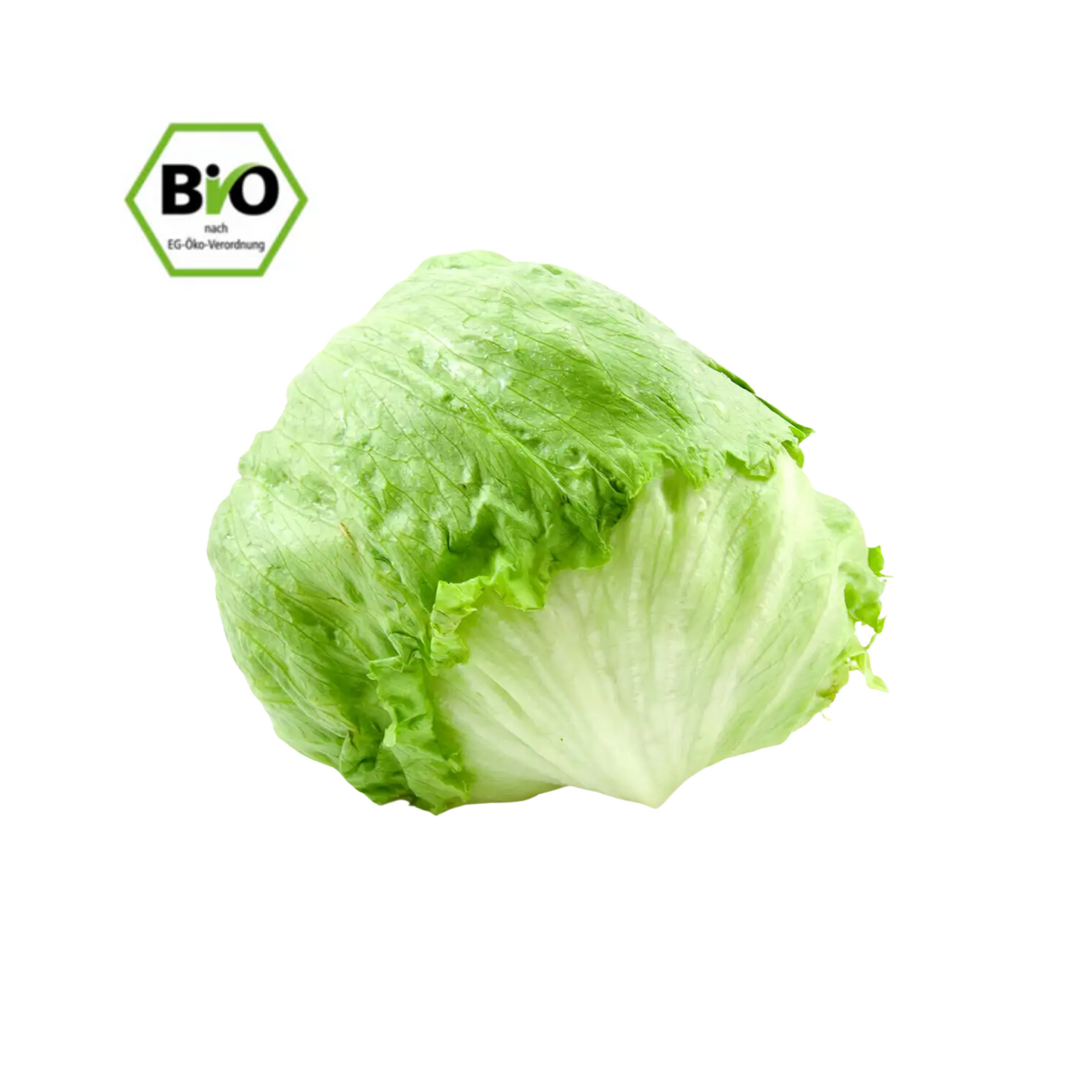 Bio Eisbergsalat