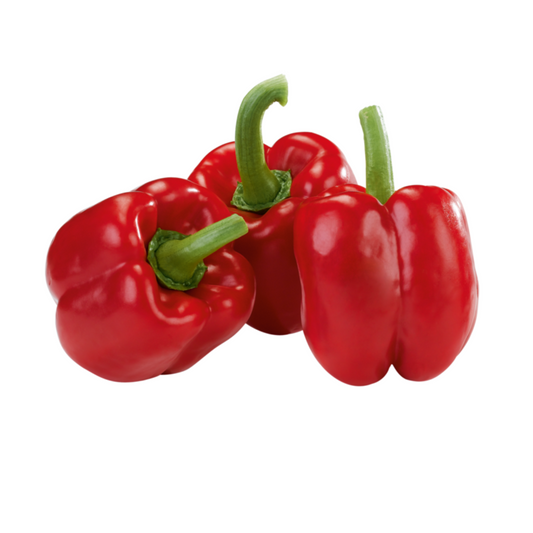 Paprika rot Mindestgewicht 200g Spanien Klasse I
