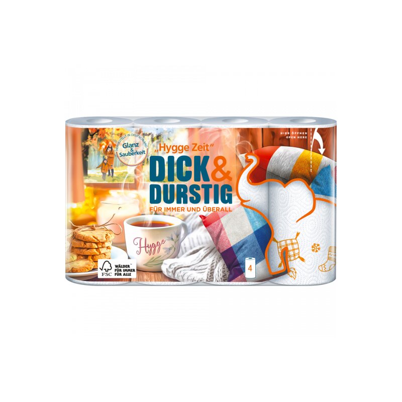 Dick&Durstig mit Dekor Haushaltstücher 4ST