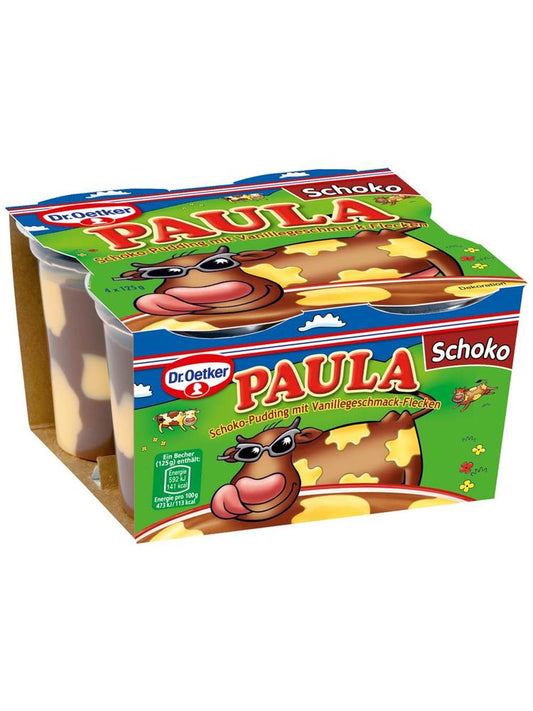 Dr.Oetker Paula Vanille mit Schoko 4x125g